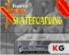 เกมส์ Extream SkateBoarding
