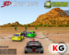 เกมส์เกมส์ 3D Rally Racing 