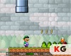 เกมส์มาริโอ Luigi